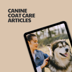 Canine Coat Care – 5 Pre-Written Articles