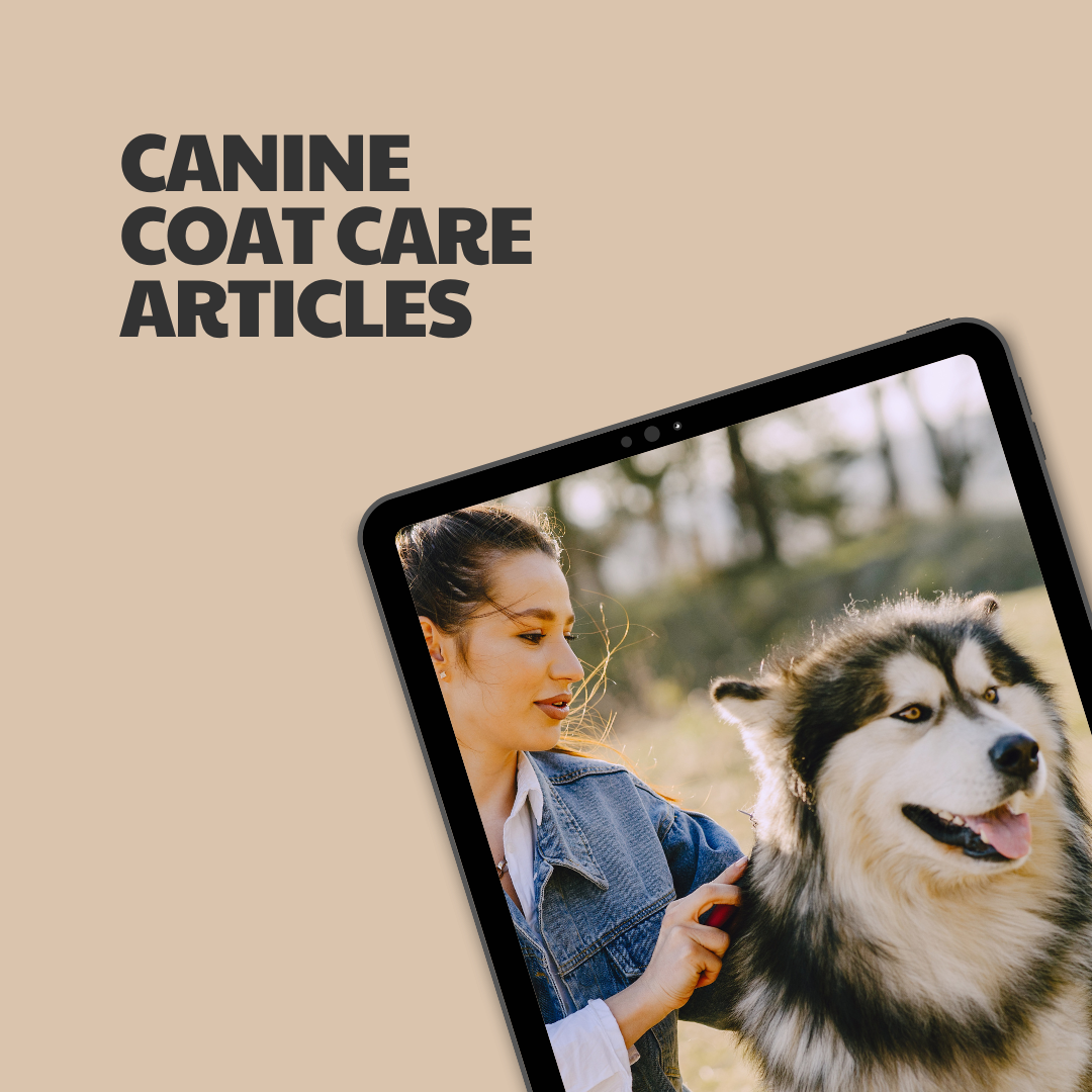 Canine Coat Care – 5 Pre-Written Articles
