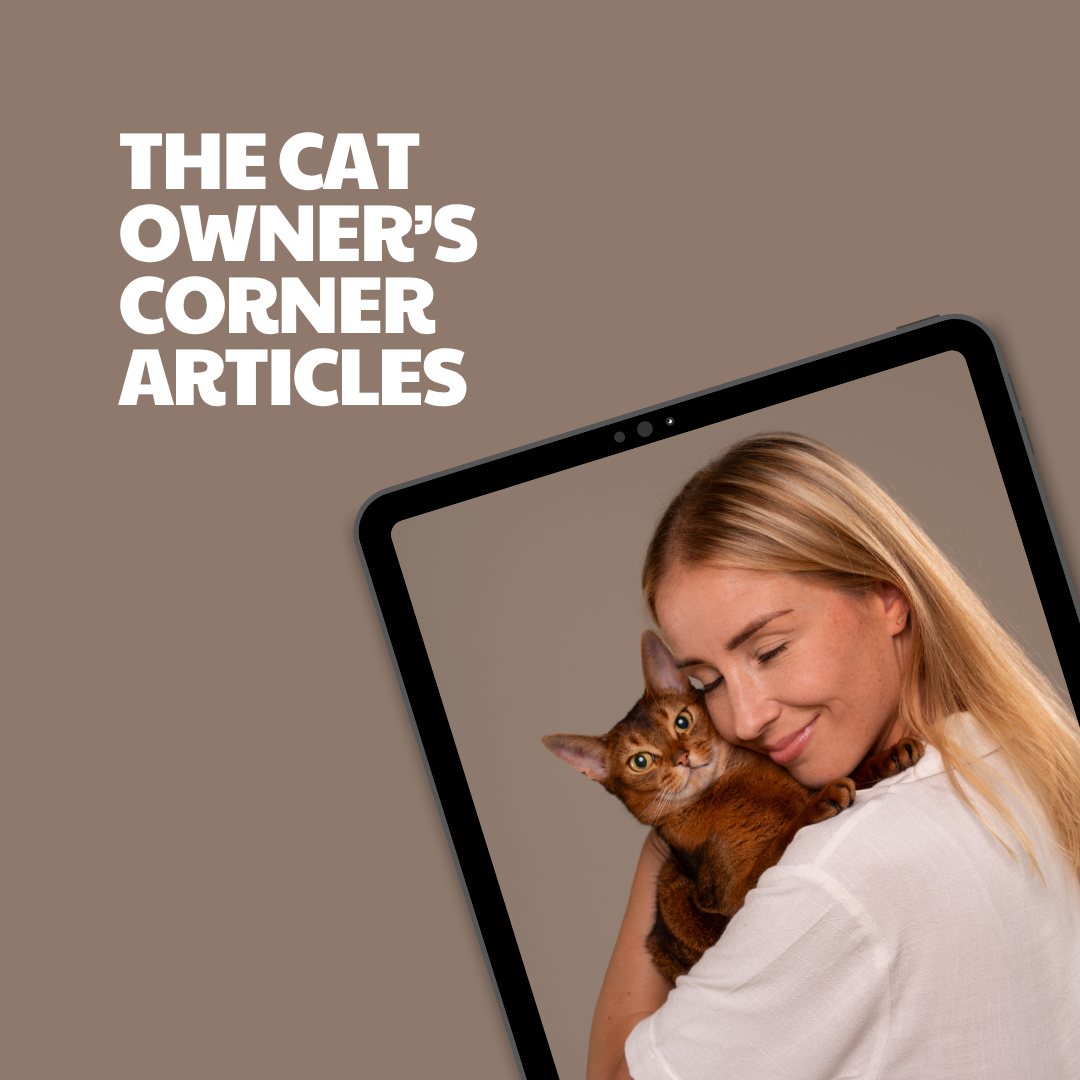 The Cat Owner’s Corner – 18 Pre-Written Articles
